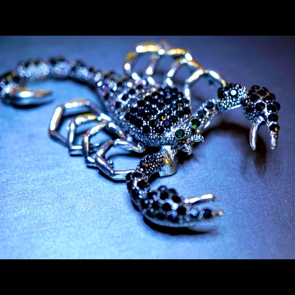 Rhinestone Scorpion Brooch/Pendant NWOT
